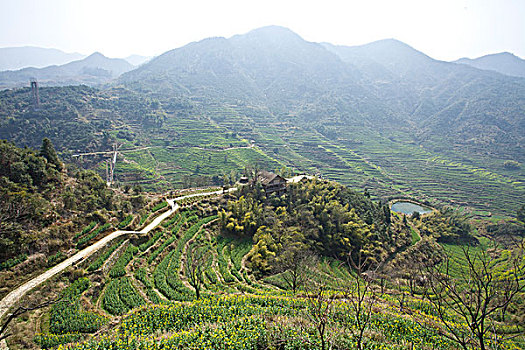 婺源,春天,油菜花,徽派,建筑,篁岭,晒秋,风情,风景,风光,乡村,民居