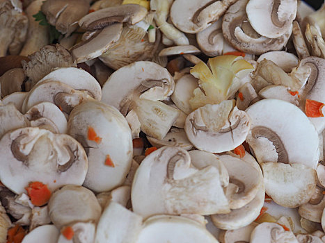 洋蘑菇,蘑菇,食物