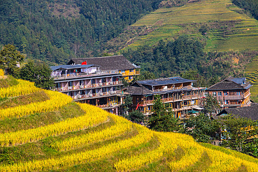 中国广西桂林龙脊梯田日照美景