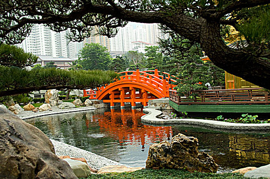 中国,香港,新,花园,鲜明,橙色,桥