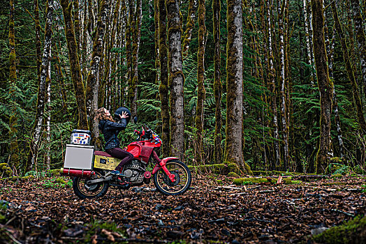 女人,骑,摩托车,树林,加拿大