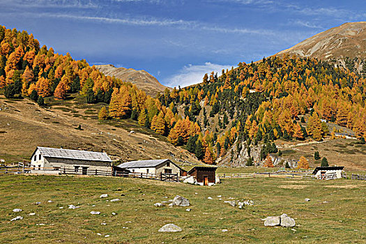 谷仓,山峦,伦巴第区,意大利