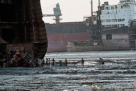 劳工,拖,线缆,船,污染,海滩,孟加拉,可靠,产业,钢铁,五月,2006年