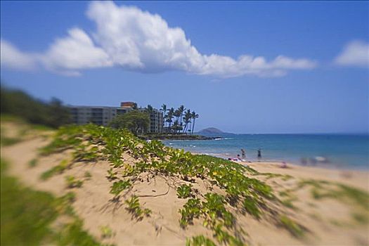夏威夷,毛伊岛,游客,海滩,酒店,远景