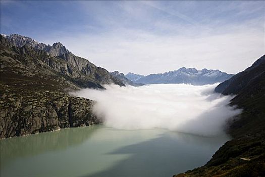 雾,山谷,瑞士,欧洲