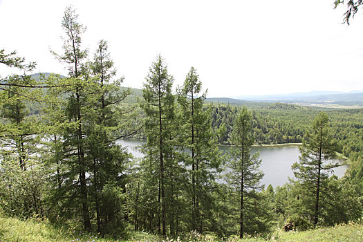 内蒙古阿尔山,驼峰岭天池,移步换景,一步一景