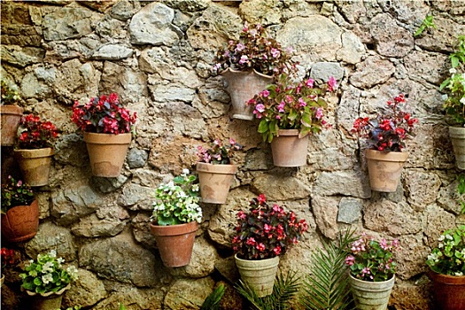 石屋,墙壁,花