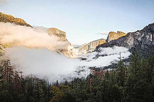 俯视图,雾气,上方,山谷,树林,优胜美地国家公园,加利福尼亚,美国