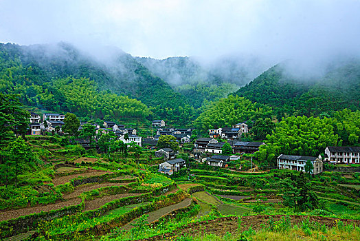 山,树林,雾气,云海,氤氲,绿色,树木,乡村