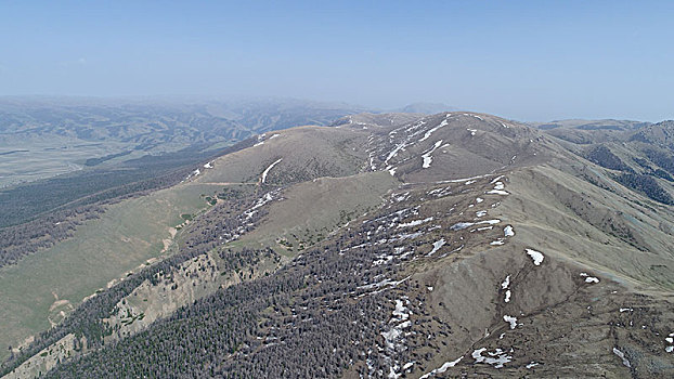 五月天山雪