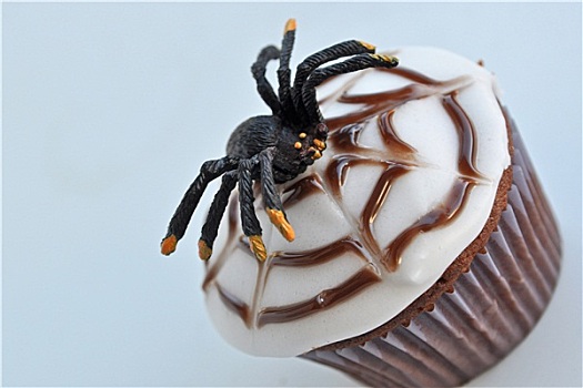 蜘蛛,杯形蛋糕