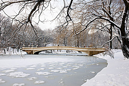 桥,中央公园,湖,冬天,曼哈顿,纽约,美国