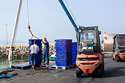 卸载,蓝色,板条箱,起重机,钓鱼,港口,布列塔尼半岛,法国