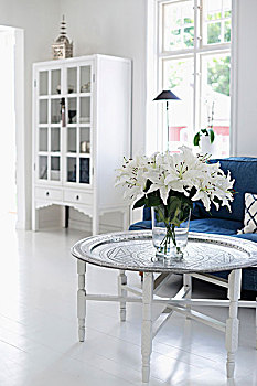 花瓶,白色背景,百合,托盘,桌子,蓝色,沙发,白色,柜子,背景