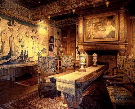 法国,城堡,文艺复兴,室内,金色,客厅,墙纸,烟囱