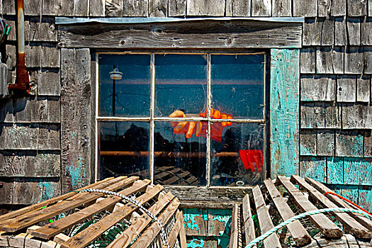 捕虾器,码头,新斯科舍省,加拿大