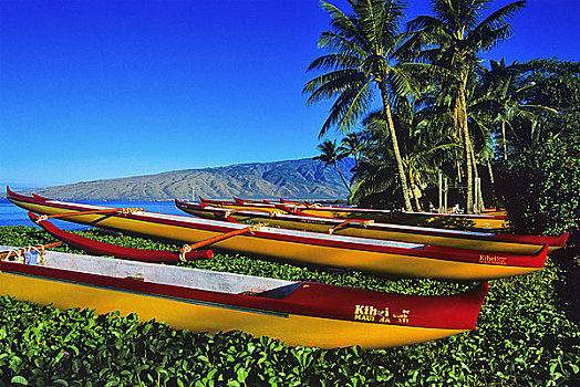 舷外支架,船,海滩,毛伊岛,夏威夷,美国