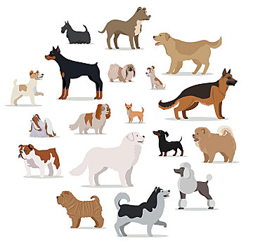狗,卡通,风格,隔绝,白色背景,收集,大,小,小狗,不同,展示,流行,物种,动物,矢量,插画