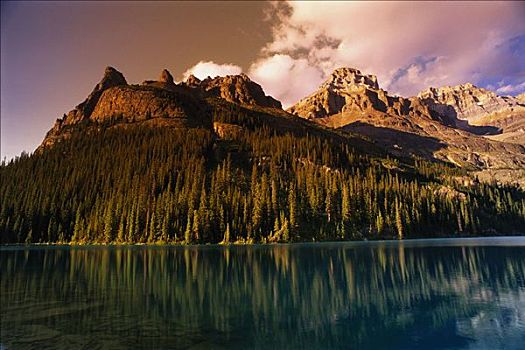 欧哈拉湖,树,山峦,幽鹤国家公园,不列颠哥伦比亚省,加拿大