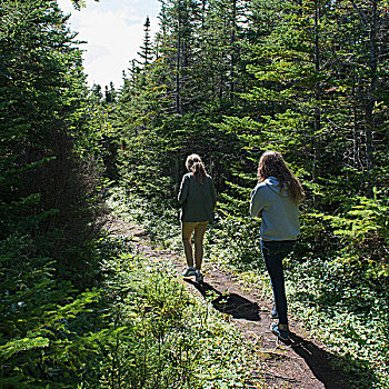 旅游,徒步旅行,格罗莫讷国家公园,纽芬兰,拉布拉多犬,加拿大