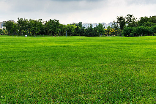 城市中心大片的绿草坪