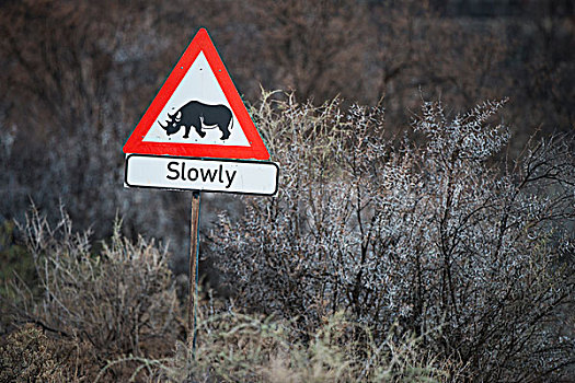 犀牛,交通标志,游戏,牧场,南非