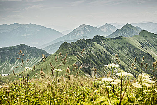 雪山,草,地点