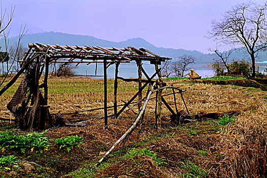 湖畔农田里破败的竹棚