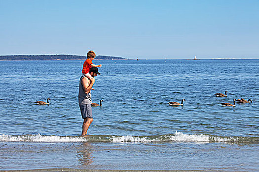 一个,男人,玩,水,旁侧,黑额黑雁,儿子,骑,肩扛,不列颠哥伦比亚省,加拿大