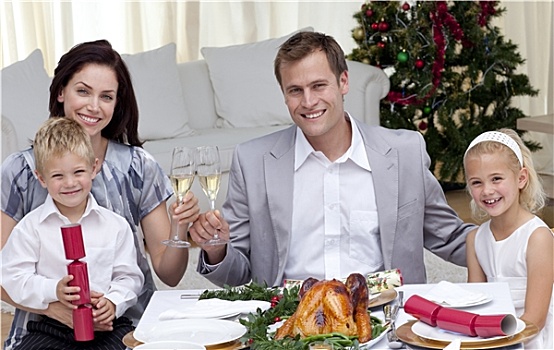 父母,祝酒,葡萄酒,圣诞晚餐