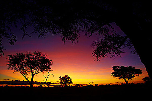 日落,露营,万基国家公园,津巴布韦,非洲
