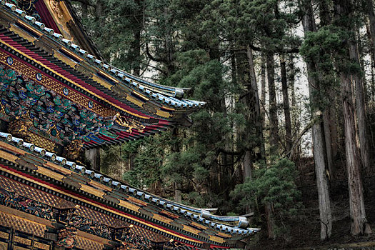 装饰,日本寺庙,屋顶,背景,树,大幅,尺寸