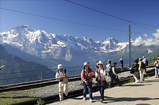 日本,游客,火车站,正面,少女峰,伯恩高地,瑞士