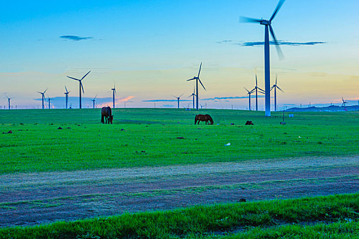 新能源,风力发电,内蒙古,草原