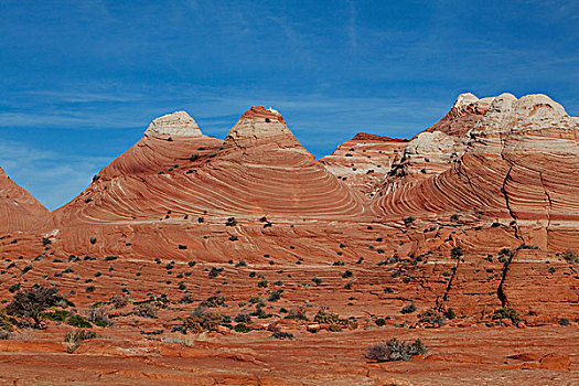 沙岩构造,狼丘,北方,页岩,亚利桑那,美国,北美