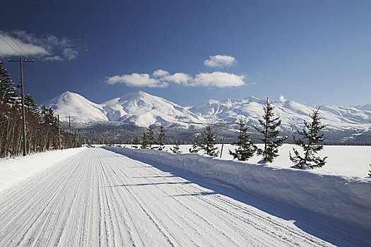 白色,道路,山,美瑛