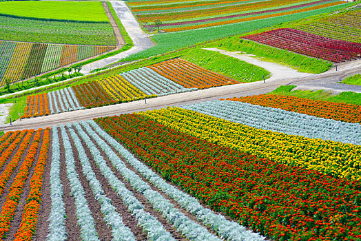 花圃,北海道,日本