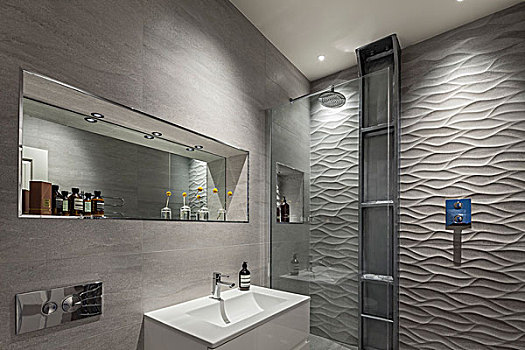 设计师,浴室,盥洗池,瓷砖墙,镜子,淋浴,区域,结构,砖瓦,墙壁