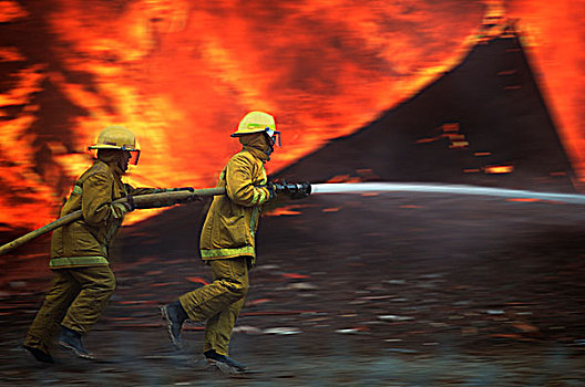 消防员,软管,移动,火,场景,火焰,动感,不列颠哥伦比亚省,加拿大