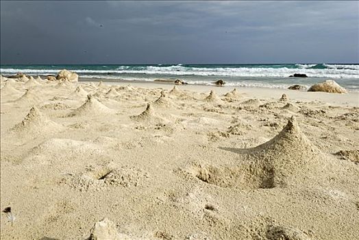沙子,山,建造,螃蟹,海滩,索科特拉岛,世界遗产,也门