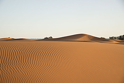 荒漠沙丘,风景,迟,白天,撒哈拉沙漠,梅如卡,摩洛哥