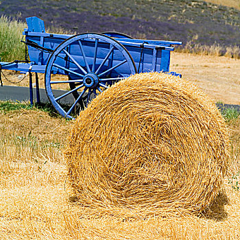 小麦,稻草包,古老,蓝色,普罗旺斯,法国