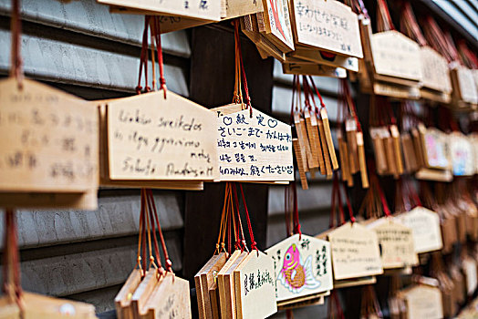 特写,木质,祈祷,铭牌,日本,神社
