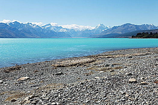 风景,湖,夏天,新西兰