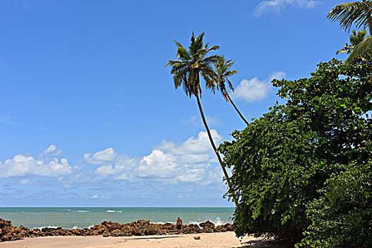 海滩,巴西
