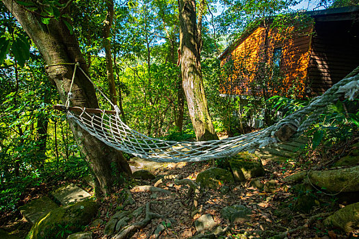 森林木屋外树下的吊床