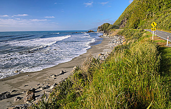 海滩,旁侧,海岸,道路,南岛,新西兰,大洋洲