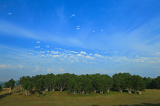 河北坝上风光