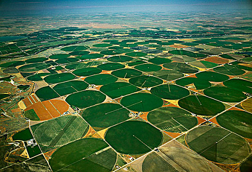 农业,航拍,中心,圆形,地点,靠近,科罗拉多,美国