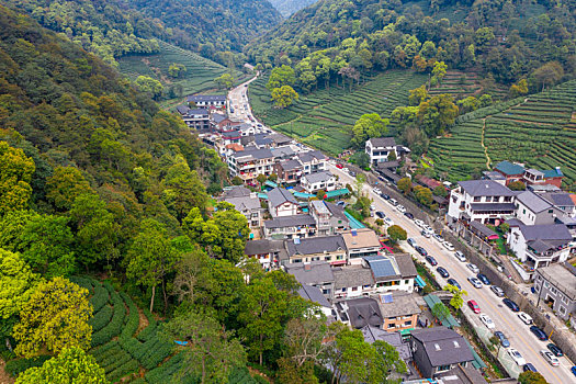 杭州西湖龙井茶产地梅家坞